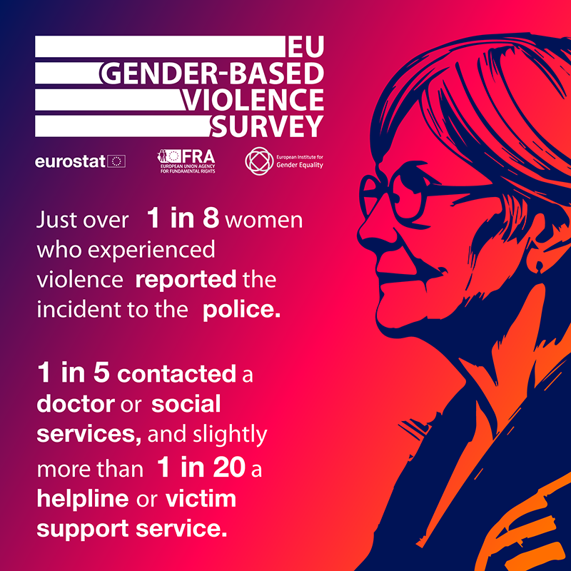 Just over 1 in 8 women who experienced violence reported the incident to the police. 1 in 5 contacted a doctor or social services, and slightly more than 1 in 20 a helpline or victim support service.